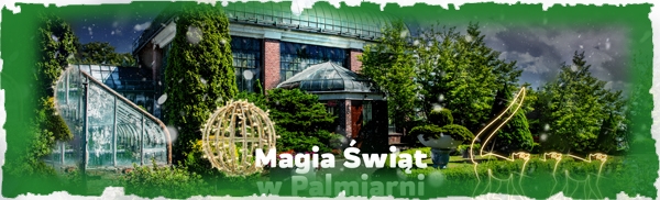 Palmiarnia - Magia Świąt 