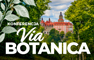 Konferencja Via Botanica